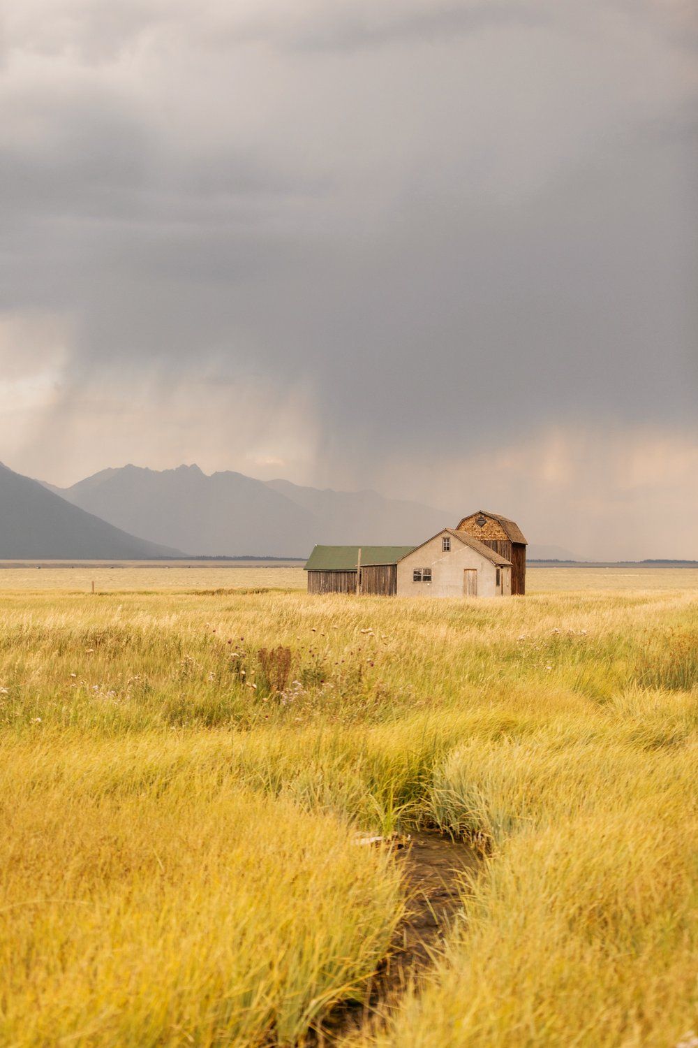 Why the iPhone Is The Best Camera for Mobile Photography