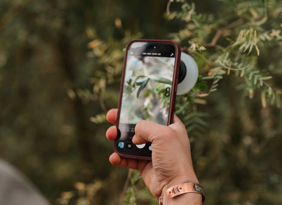 Macro Mobile Photography: Up Close & Personal With a Macro Lens