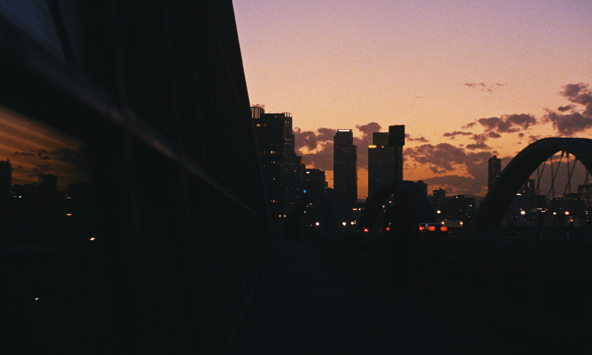 FilmVision Pro