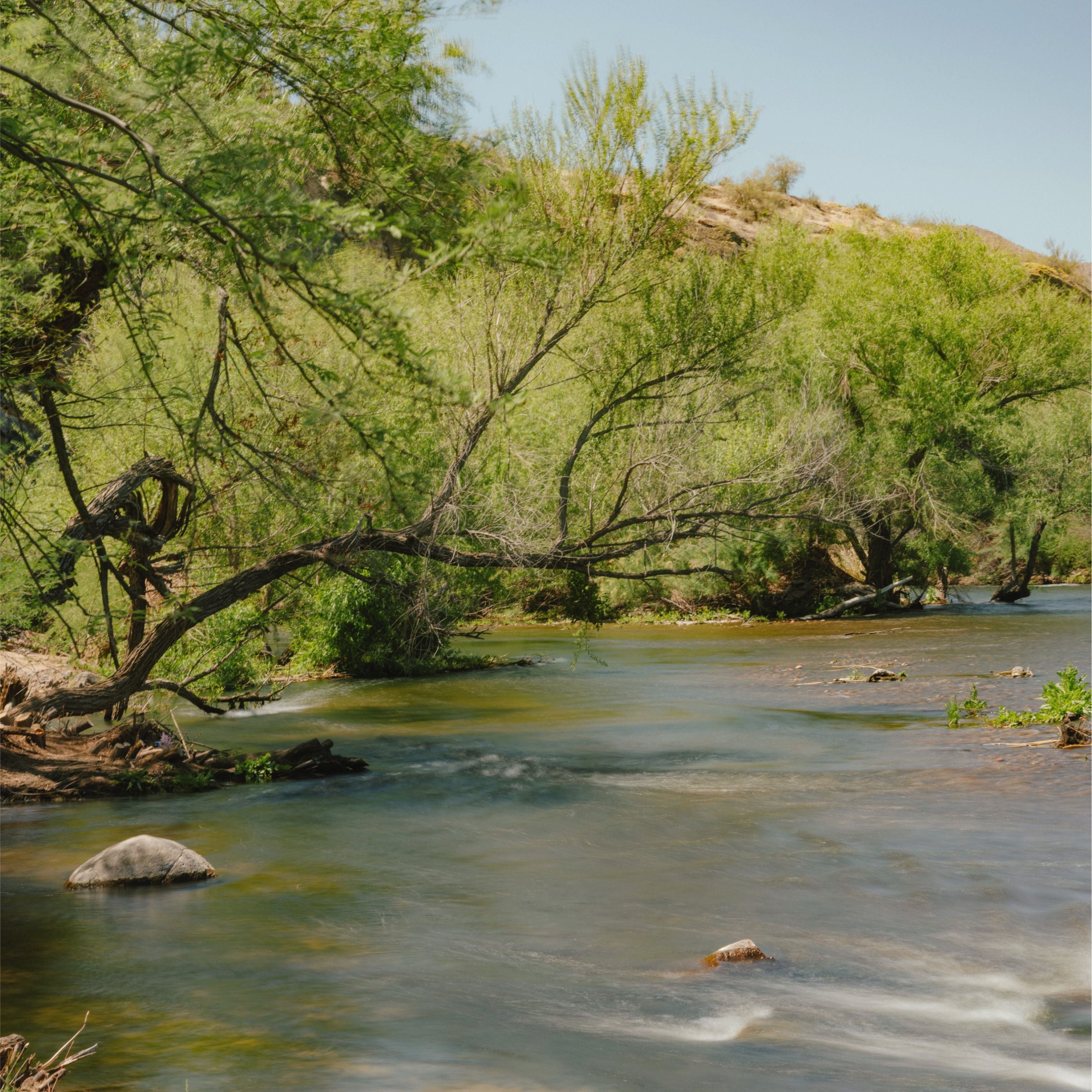 CineBloom Variable ND Filters