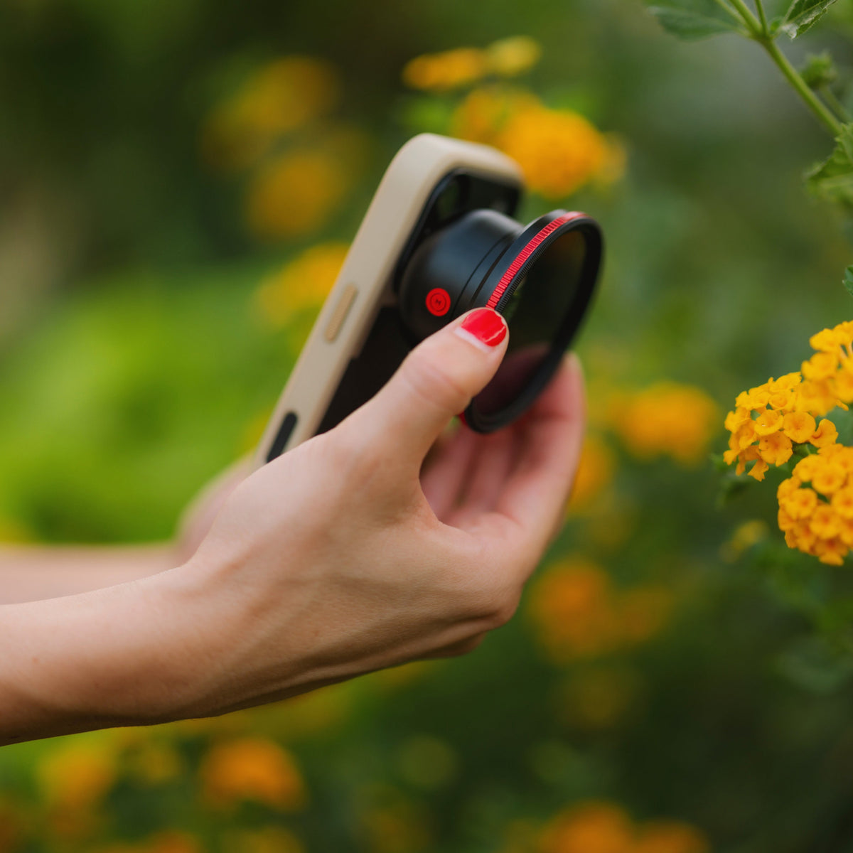 Top iPhone Accessories For Mobile Photographers