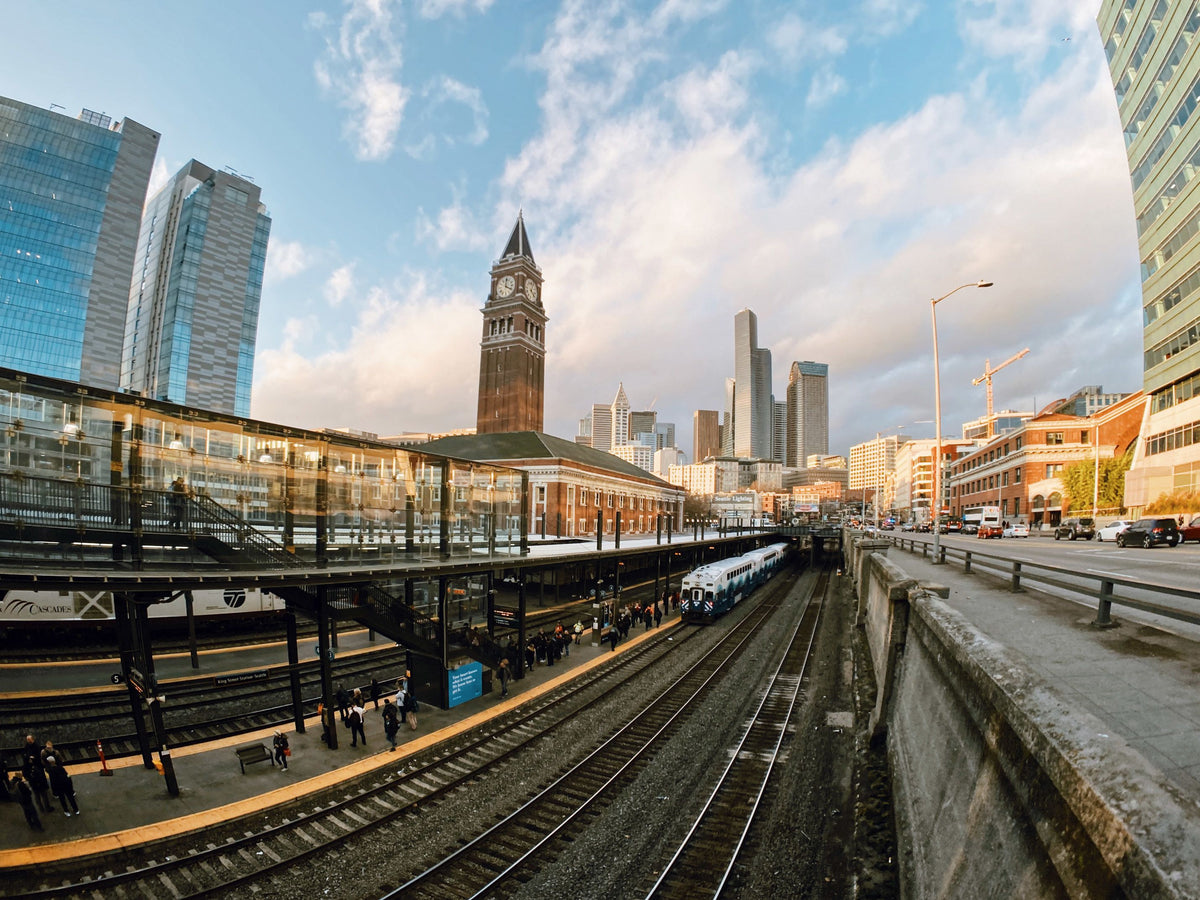 Moment Fisheye 14mm Lens (Getting Started)