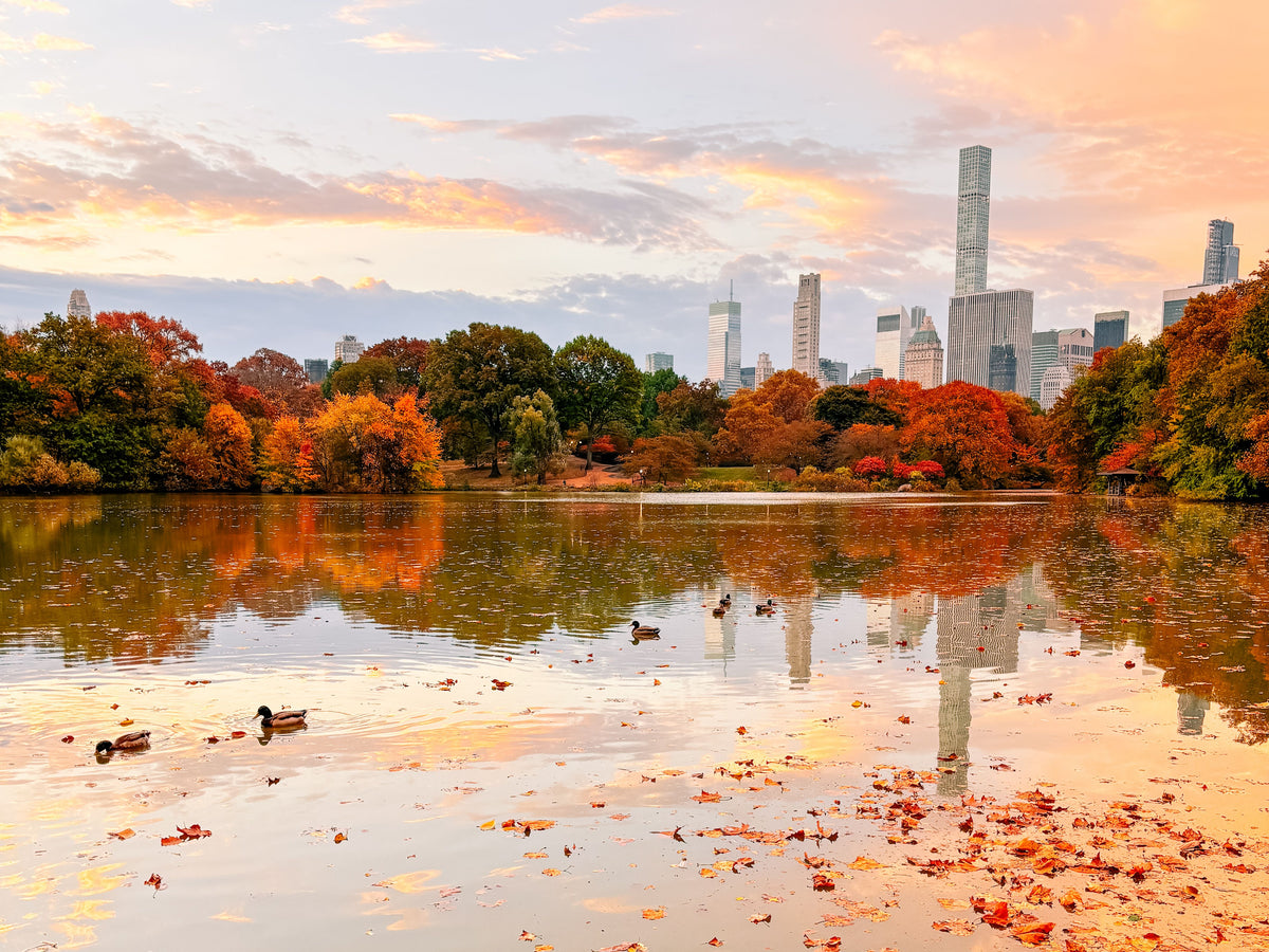 How to Edit Photos on the iPhone