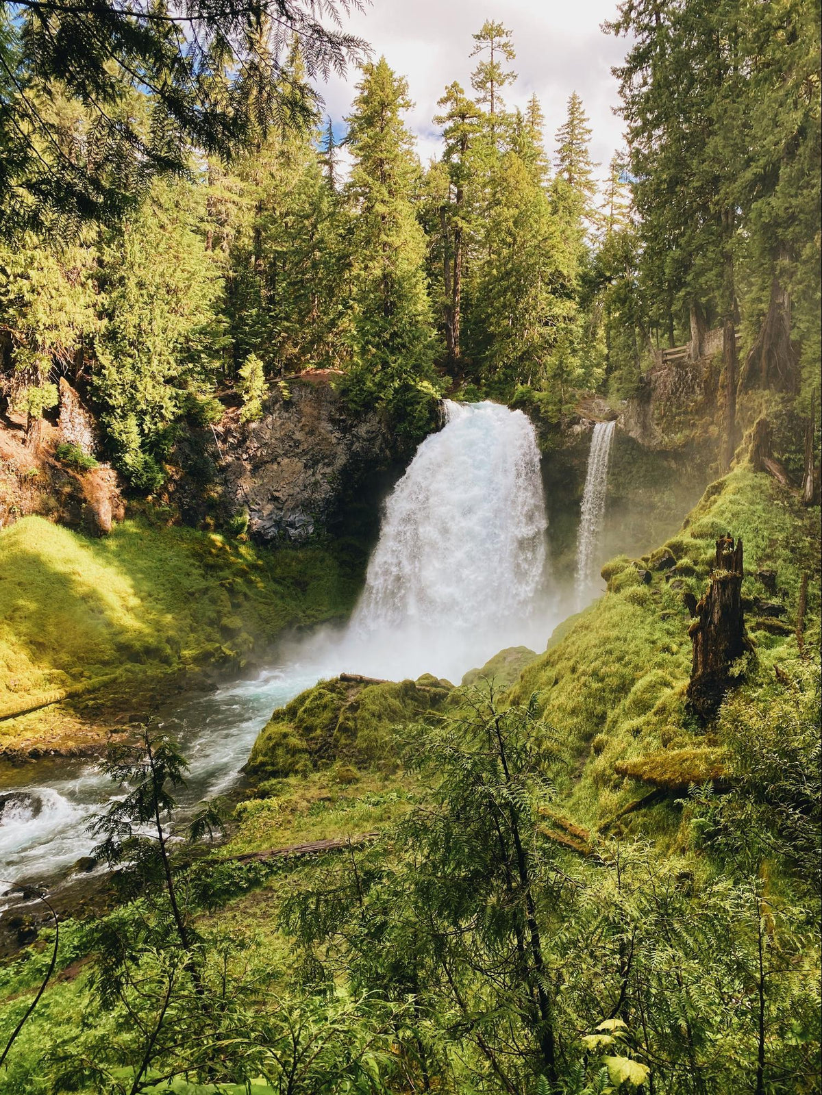 The iPhone 15 Camera Review | THE Camera for Mobile Filmmakers