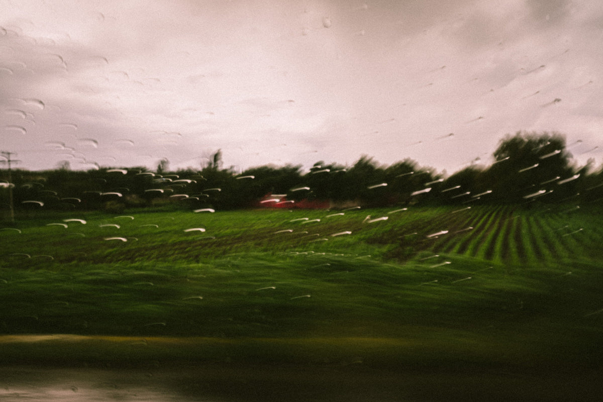 FilmTexture LR Preset Pack