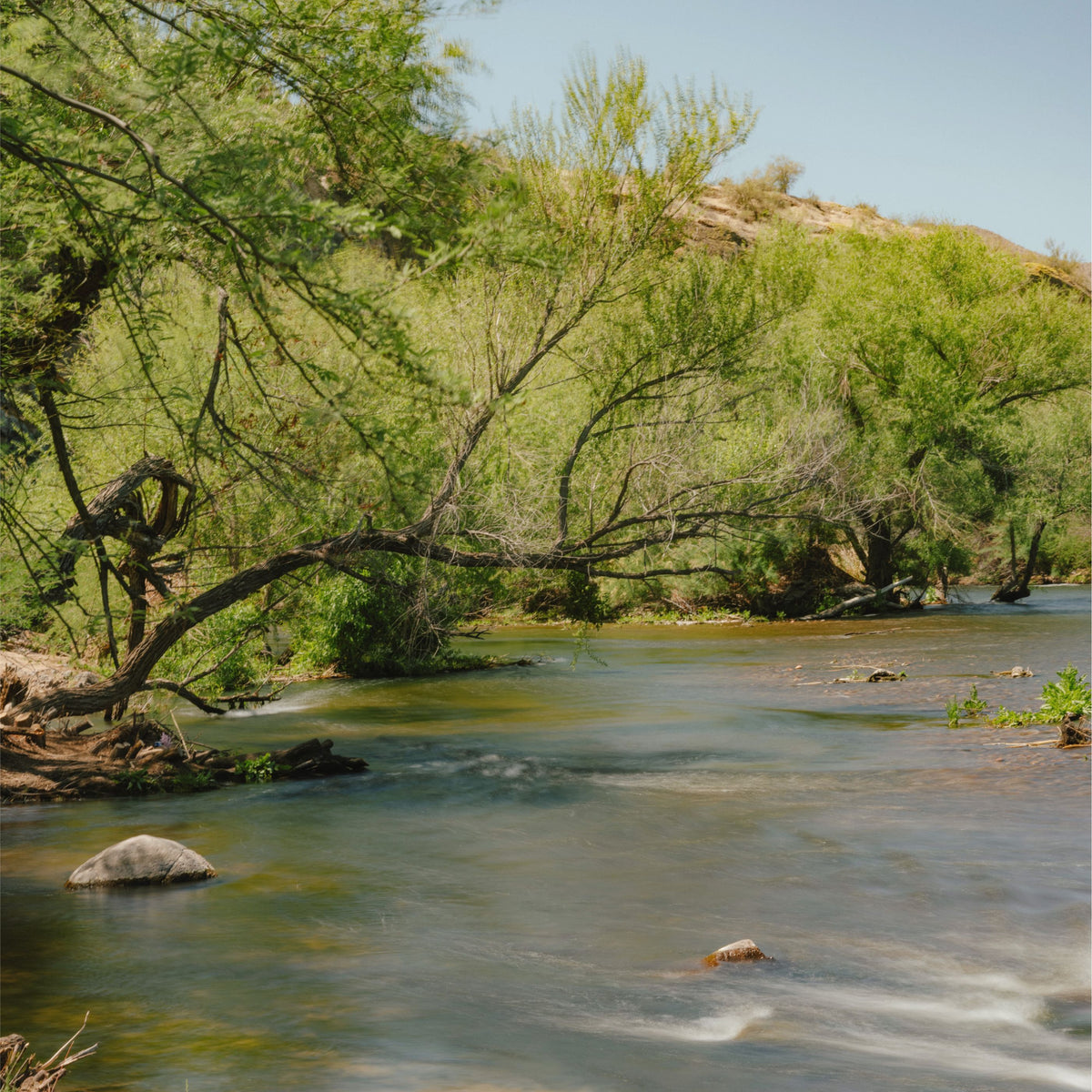 CineBloom Variable ND Filters