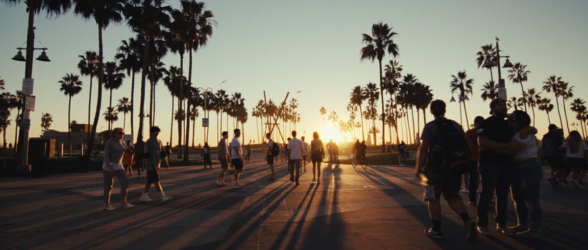 FilmVision V1 LUT Pack (Premier Pro, Final Cut, etc.)