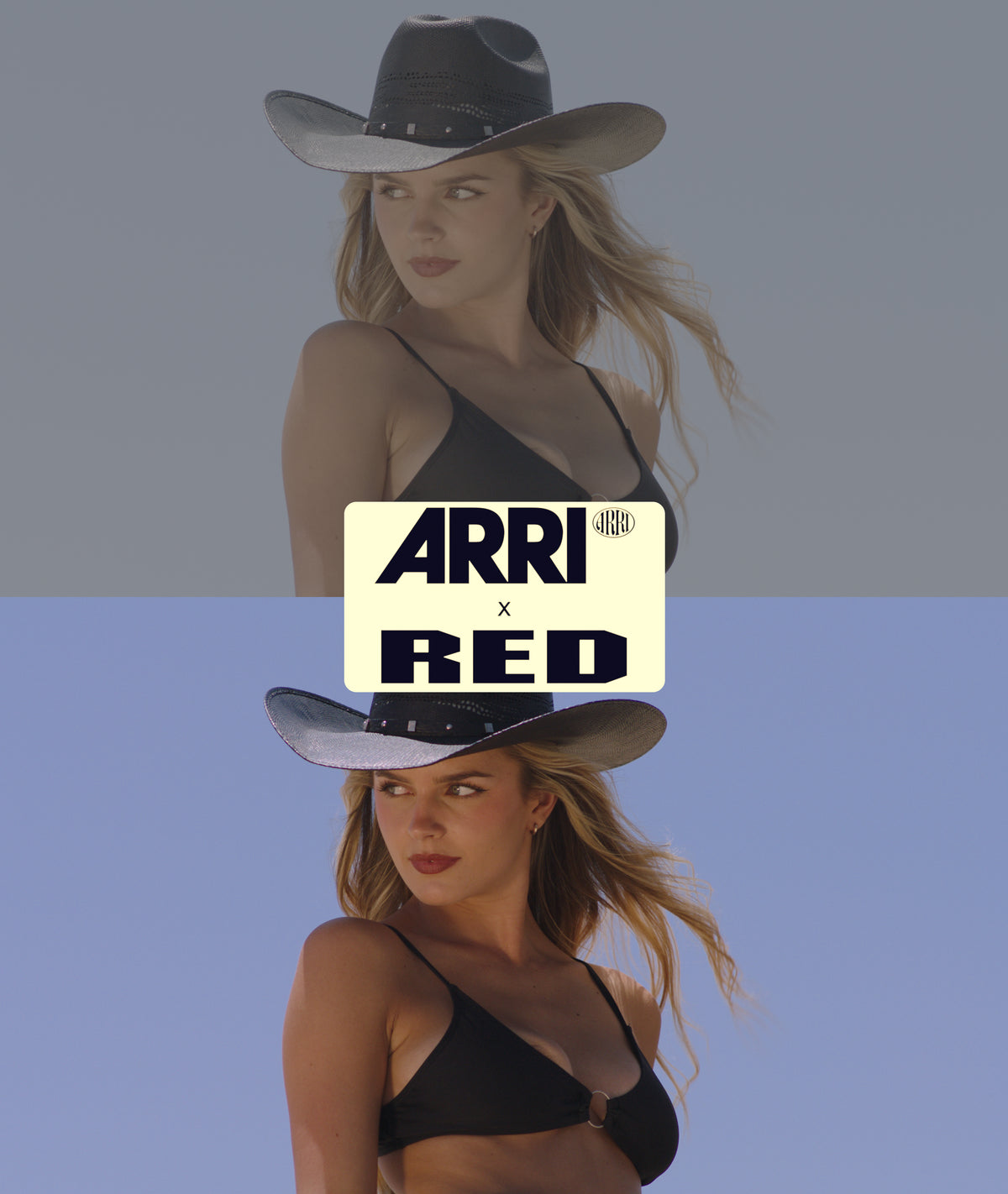 RED to Arri Alexa Conversion LUTs